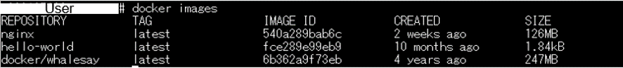 Docker01_10