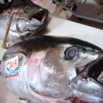 くら寿司、AIでマグロ買い付け 仕入れ安定,品質確保、ほか【最新AIニュース】