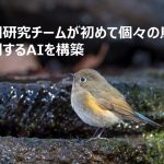 研究チームが初めて個々の鳥を識別するAIを構築、ほか【AI最新ニュース】