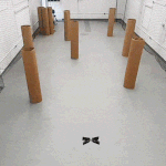 未知の環境下でのロボットの安全性とパフォーマンスの保証に関する機械学習手法を紹介！