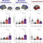 プログラミングに求められるのは、言語でも数学でもなく総合的な能力であることをMITが報告！