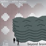 米国物理学協会がAI機能の向上に対して超伝導体を用いた電子回路を提案しました！