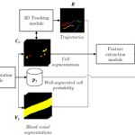 医療・生物学にDeep learningを応用した「ACME」　　特性細胞の解析時間が大幅に削減！